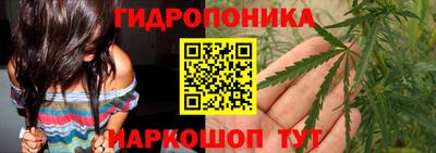 крисы Ливны