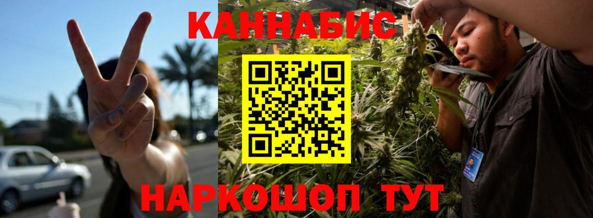 Каннабис индика Вышний Волочёк